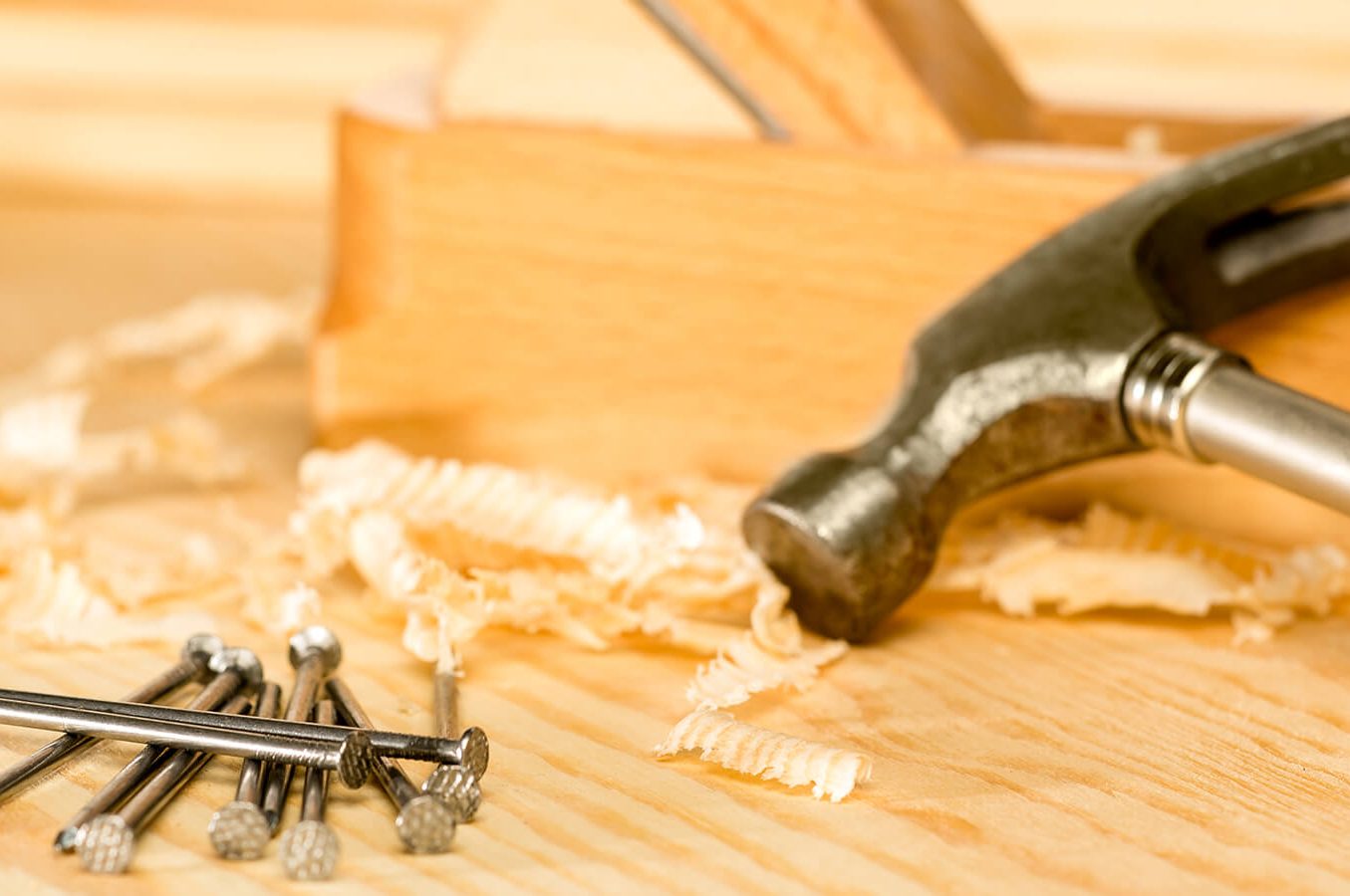 Design Workshop: The Shed Roof