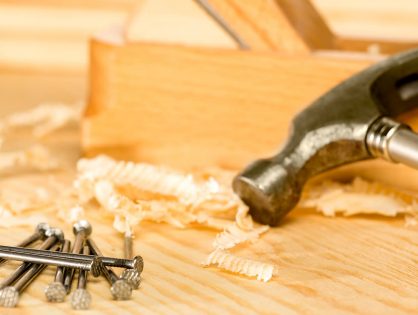 Design Workshop: The Shed Roof